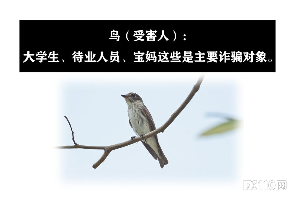2024年09月23日:【汇查查】拆解新型骗局,远离“杀鸟盘”和“杀鱼盘” 【汇查查】拆解新型骗局,远离“杀鸟盘”和“杀鱼盘”